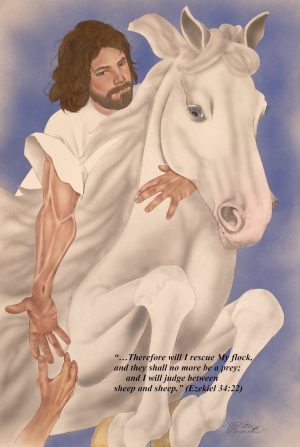 Horse Rescue by Jesus!